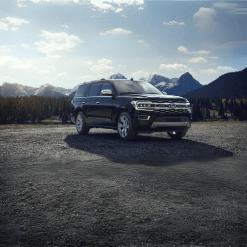 ford expedition - ford global fleet sales (3)